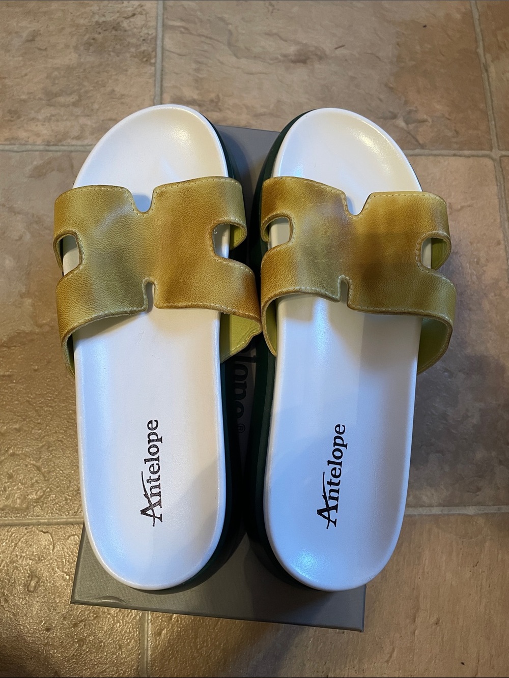 Antelope Olive Green and Gold Slide Sandals
